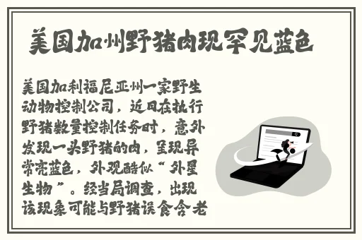 任你玩人免费视频